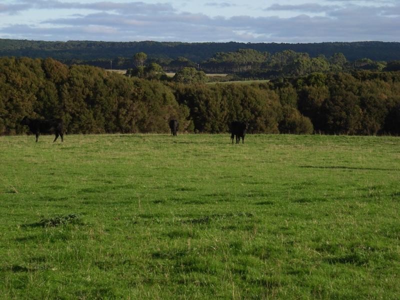 King Island TAS 7256
