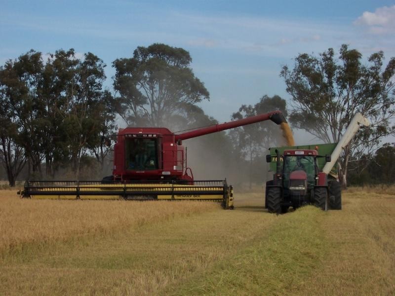 Echuca VIC 3564
