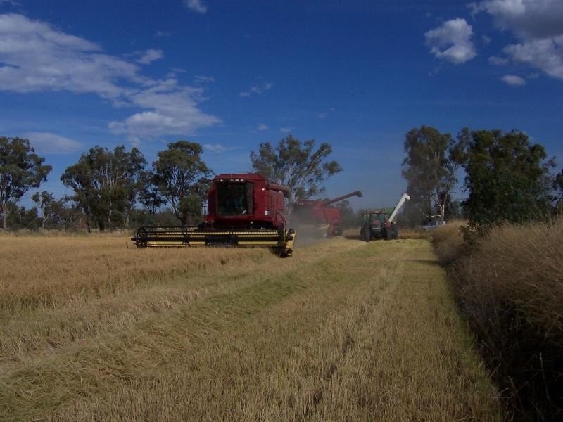 Echuca VIC 3564