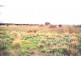 Lot 2/. Dwyer Street, Kalkallo VIC 3064