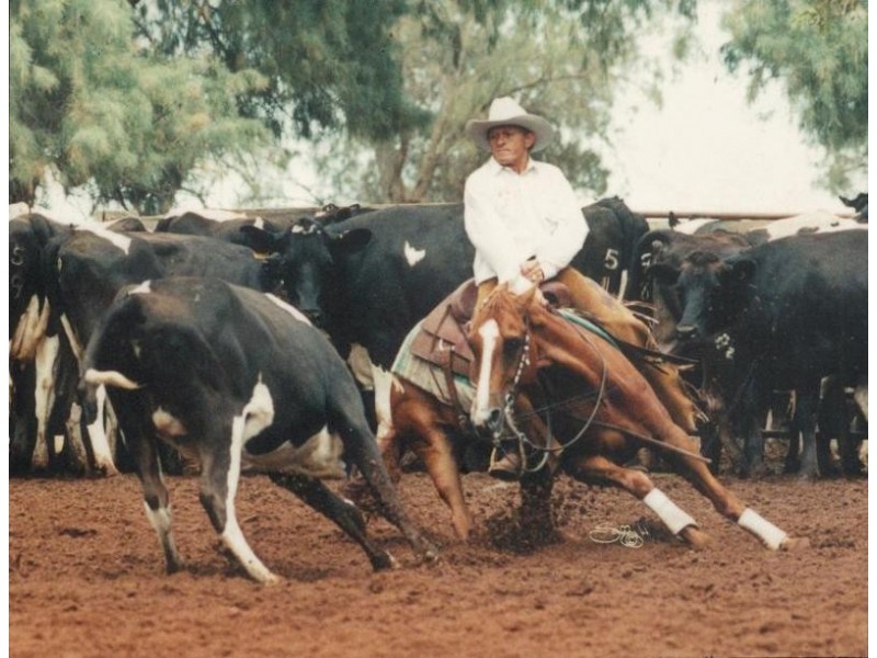 235 Koo Wee Rup Longwarry  Road, Koo Wee Rup VIC 3981