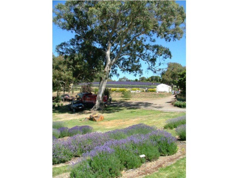 58 Sharrocks Road via Yendon Road, Mount Egerton VIC 3352