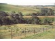 100 Kinnear Road, Mickleham VIC 3064
