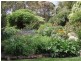 21 Doctors Gully Road, Hepburn Springs, Daylesford VIC 3460
