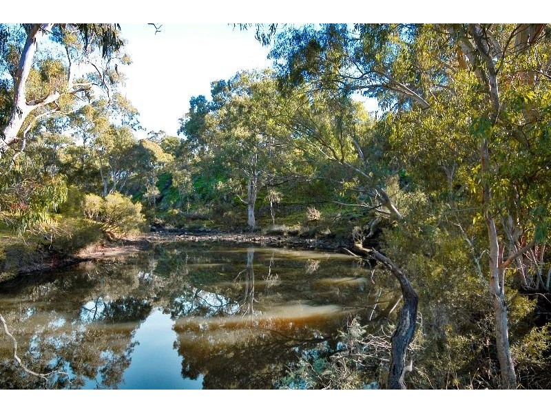 490 Wildwood Road, Wildwood VIC 3429