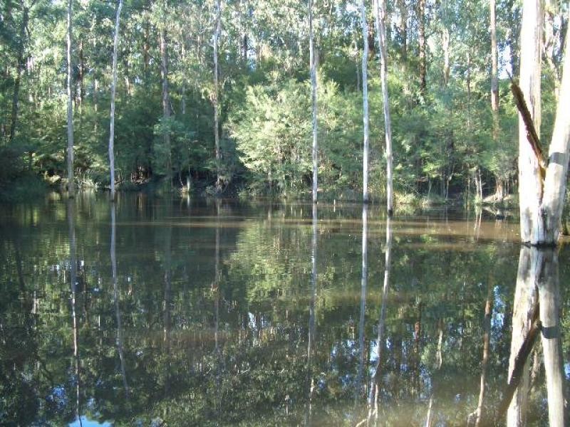 550 Beenak Road, Yellingbo VIC 3139