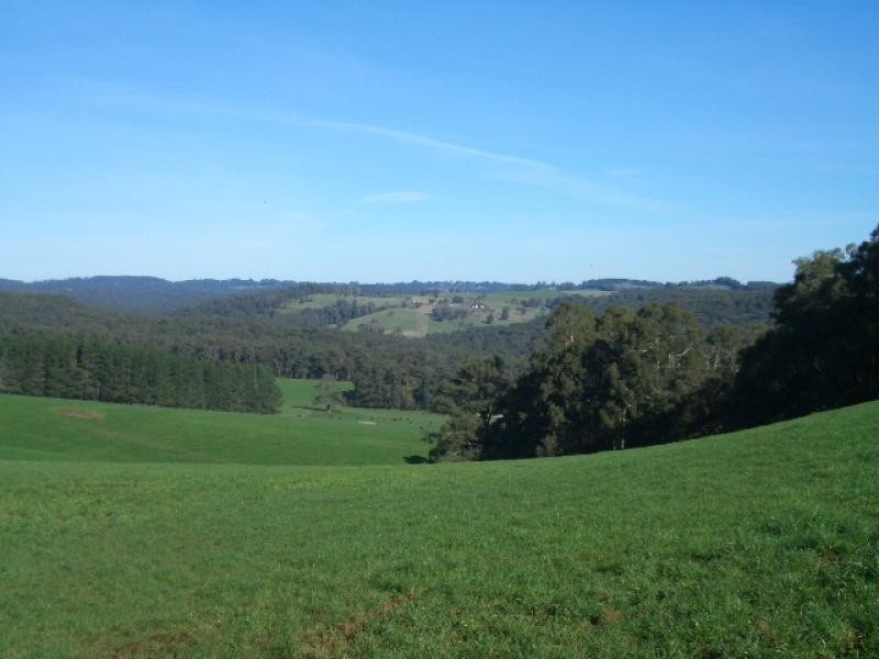 550 Beenak Road, Yellingbo VIC 3139