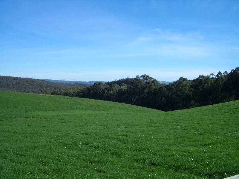 550 Beenak Road, Yellingbo VIC 3139