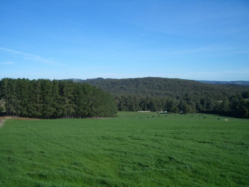 550 Beenak Road, Yellingbo VIC 3139