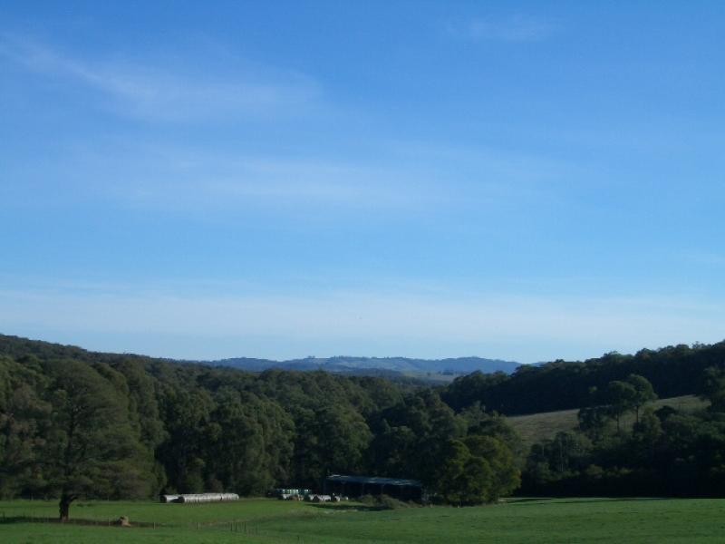 550 Beenak Road, Yellingbo VIC 3139