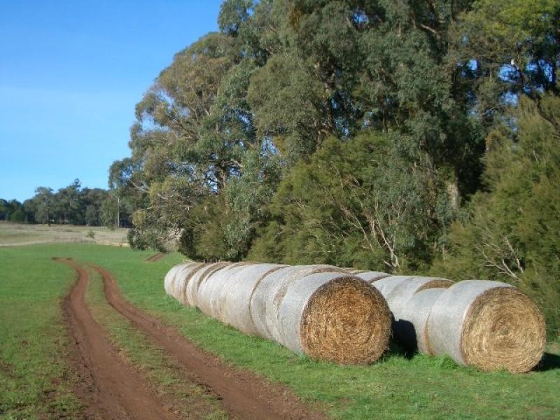 550 Beenak Road, Yellingbo VIC 3139