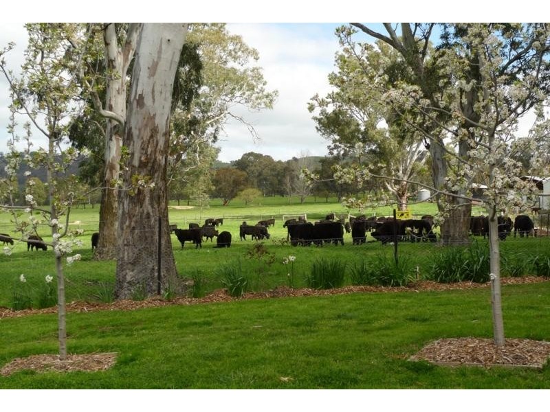 409 Sargoods Road, Gooram VIC 3666