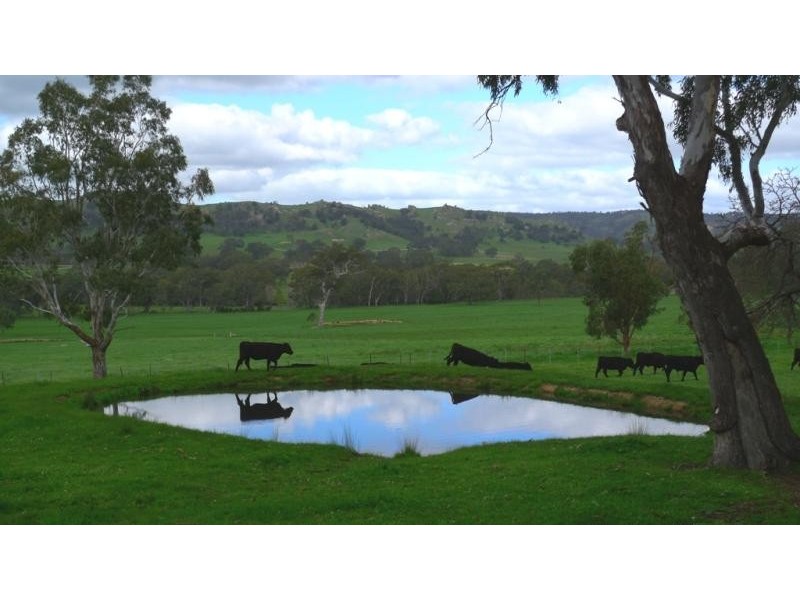 409 Sargoods Road, Gooram VIC 3666