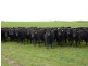 King Island TAS 7256