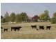 0 Brookleigh Road, Strathbogie VIC 3666