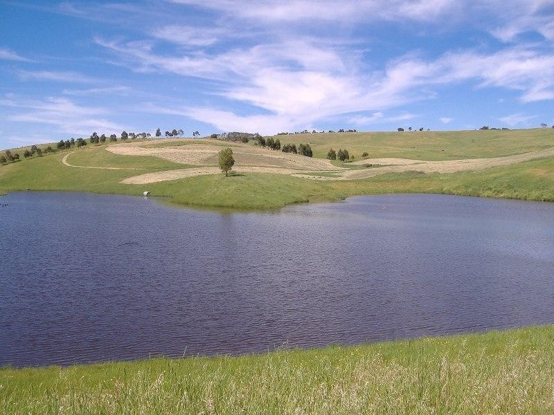 0 Ridge Road, Henty VIC 3312