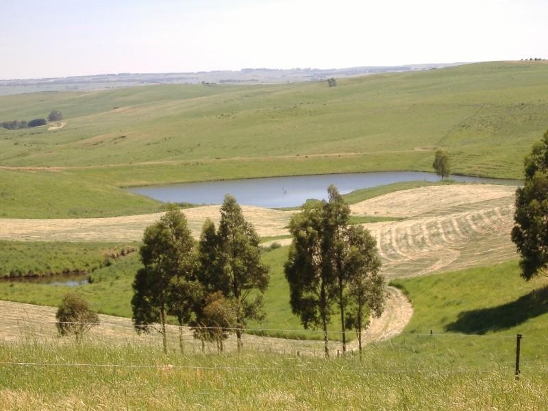 0 Ridge Road, Henty VIC 3312