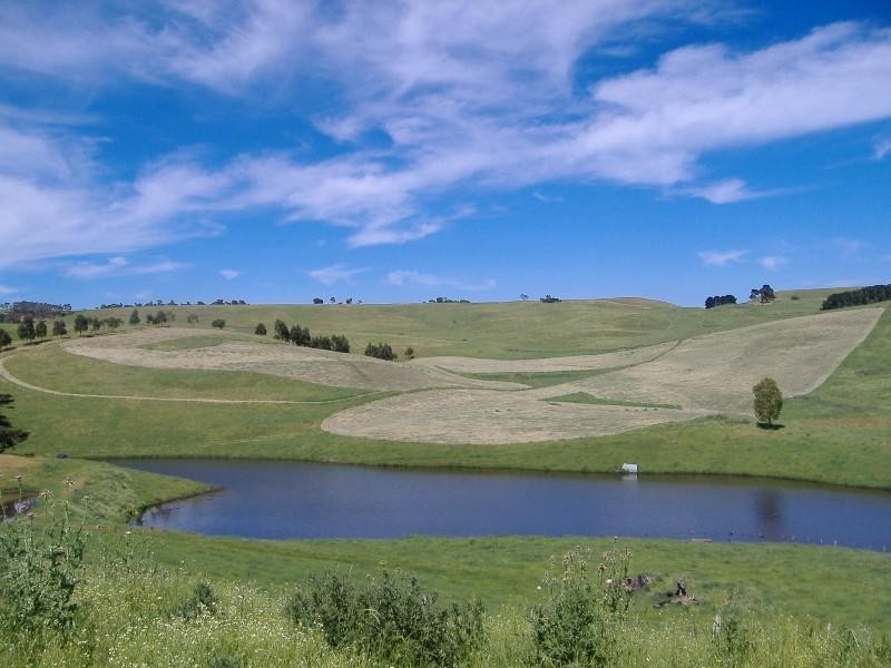 0 Ridge Road, Henty VIC 3312