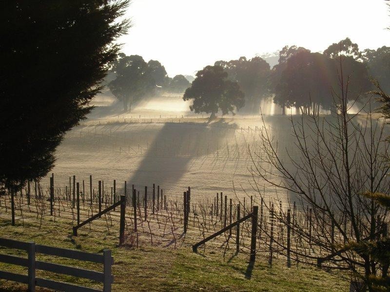 1289 Malmsbury – Daylesford Road, Glenlyon VIC 3461