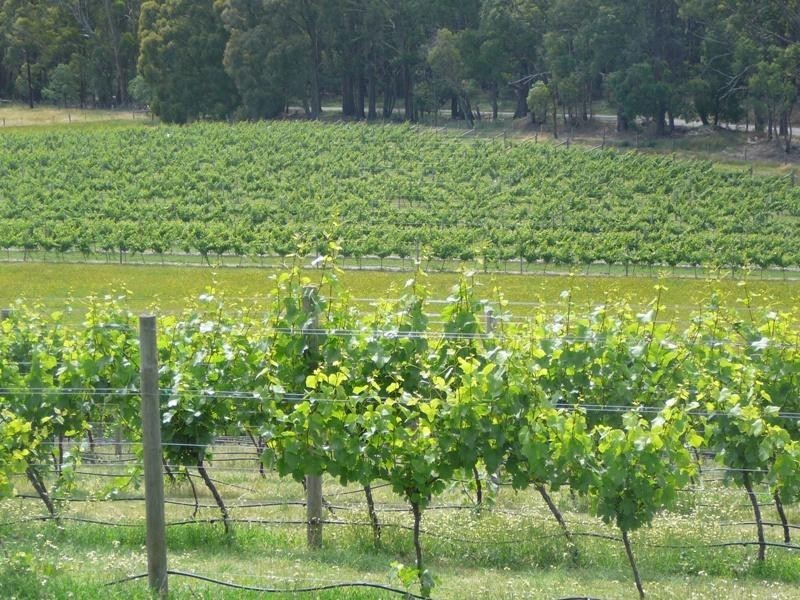 1289 Malmsbury – Daylesford Road, Glenlyon VIC 3461