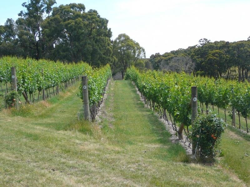 1289 Malmsbury – Daylesford Road, Glenlyon VIC 3461