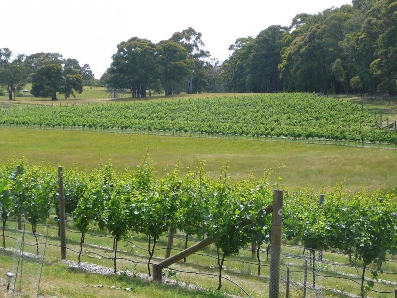 1289 Malmsbury – Daylesford Road, Glenlyon VIC 3461