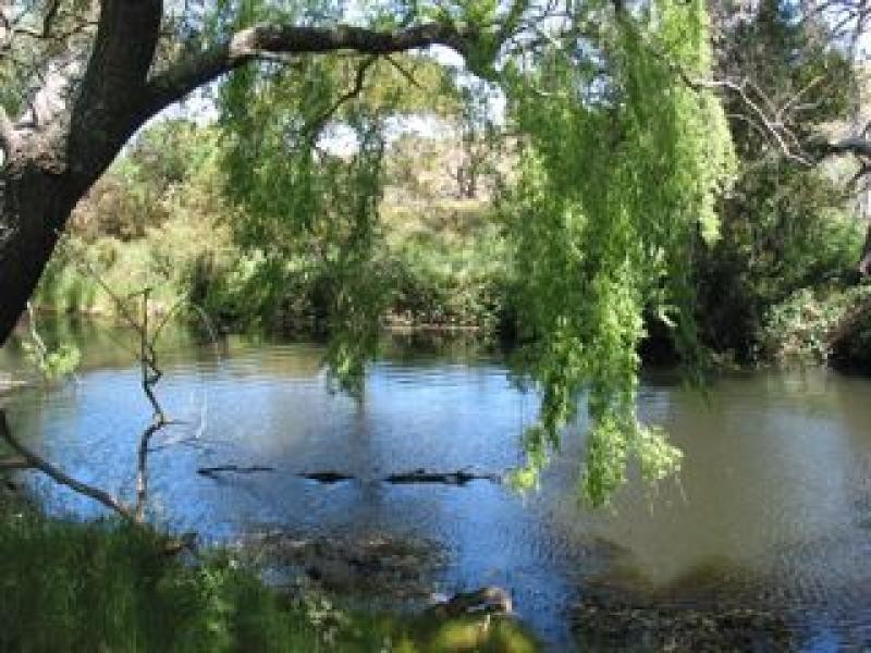 Kyneton VIC 3444