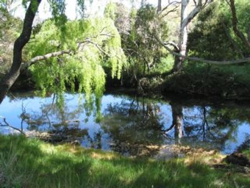 Kyneton VIC 3444