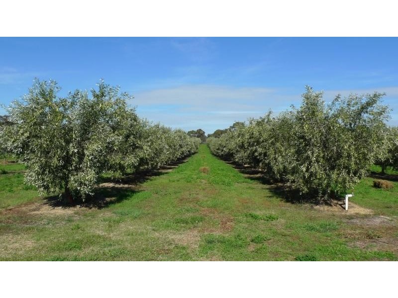 2090 Heathcote Kyneton Rd, Barfold, Kyneton VIC 3444