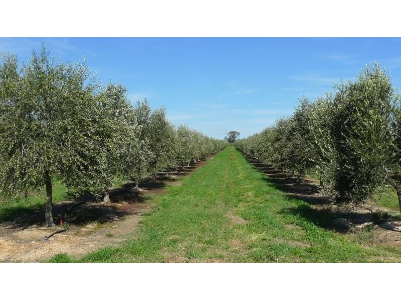 2090 Heathcote Kyneton Rd, Barfold, Kyneton VIC 3444