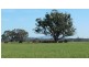 2090 Heathcote Kyneton Rd, Barfold, Kyneton VIC 3444