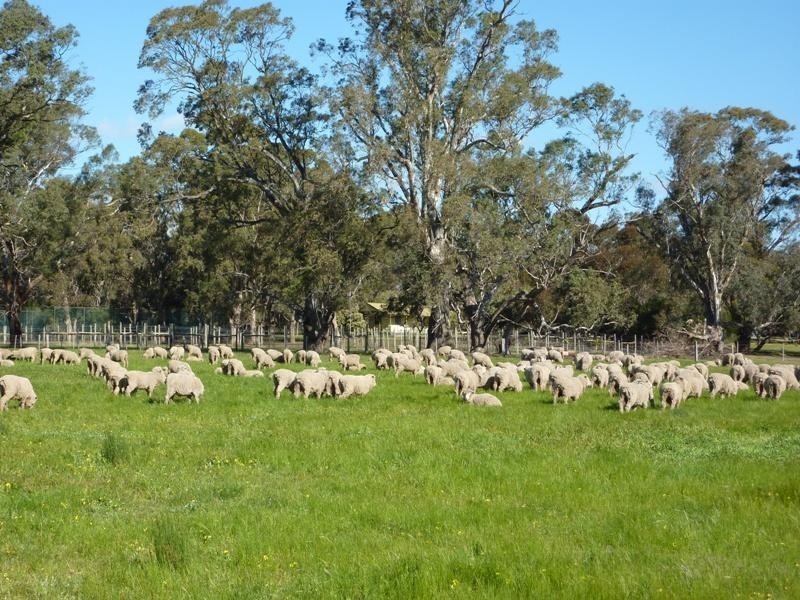 360 The Bridle Track, Glenaroua VIC 3764