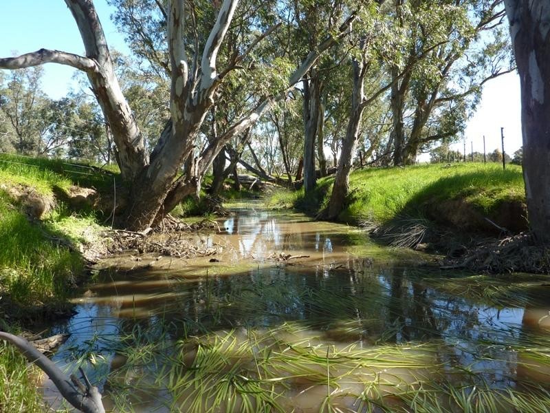 360 The Bridle Track, Glenaroua VIC 3764