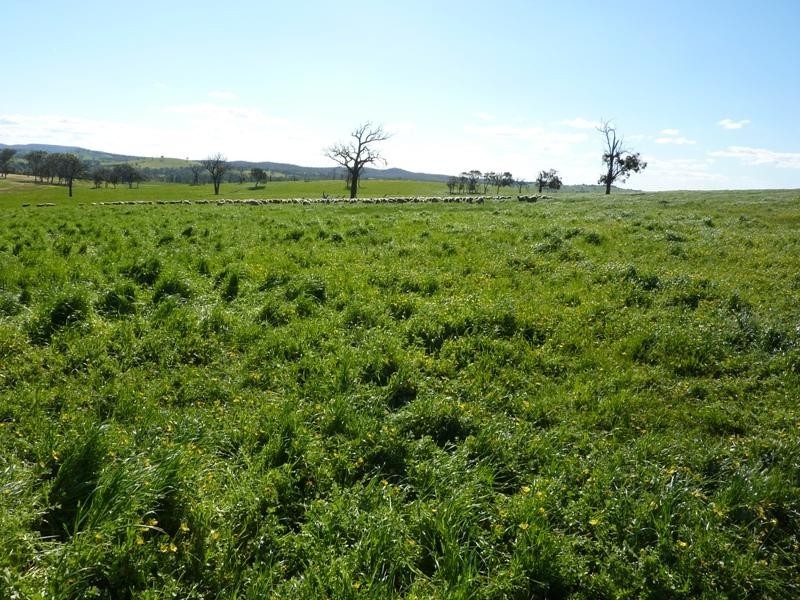 360 The Bridle Track, Glenaroua VIC 3764