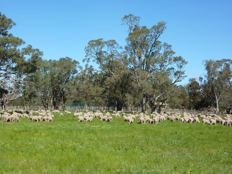 360 The Bridle Track, Glenaroua VIC 3764