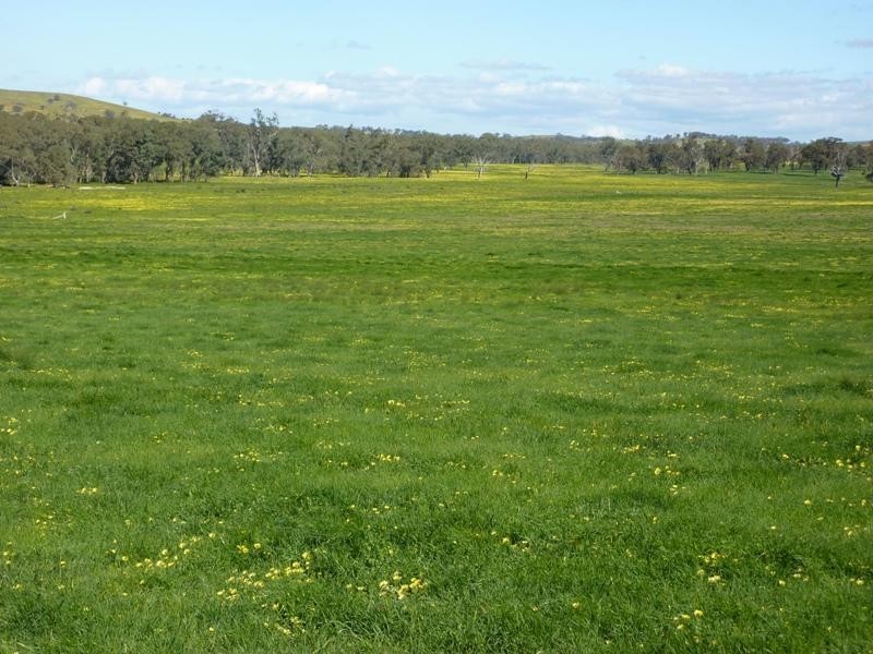 360 The Bridle Track, Glenaroua VIC 3764