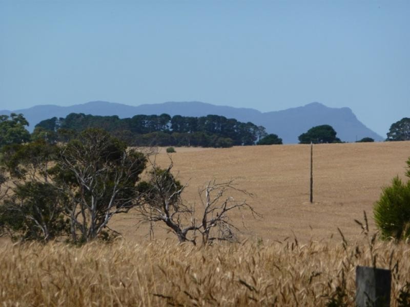 Hamilton VIC 3300