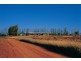 Renmark SA 5341