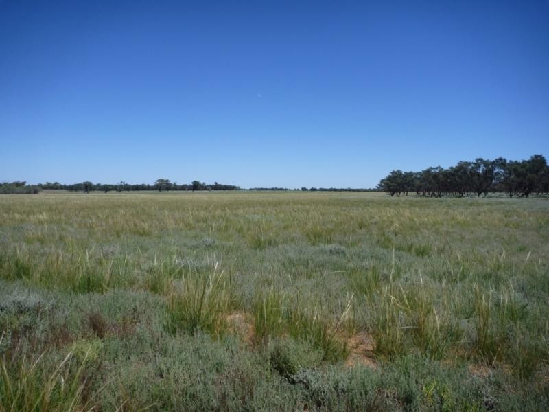 Pooncarie NSW 2648