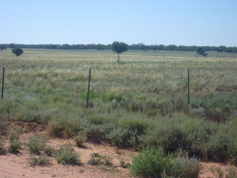 Pooncarie NSW 2648