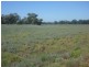 Pooncarie NSW 2648