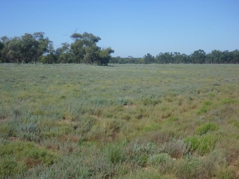 Pooncarie NSW 2648