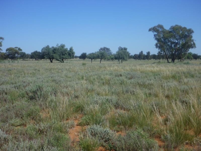 Pooncarie NSW 2648