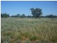 Pooncarie NSW 2648