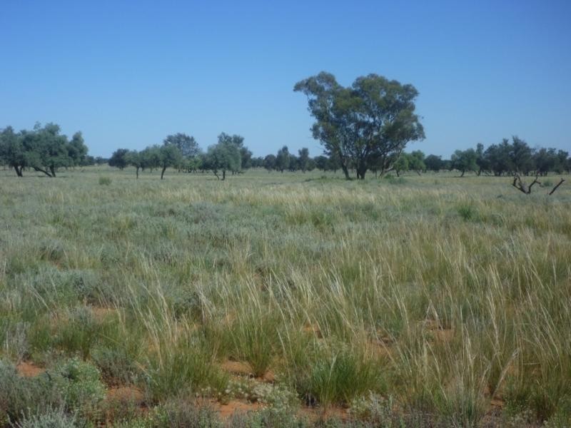 Pooncarie NSW 2648