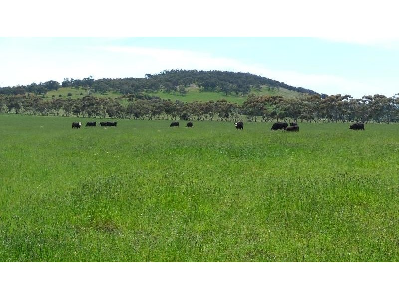 226 Black Hill Road, Gisborne South VIC 3437