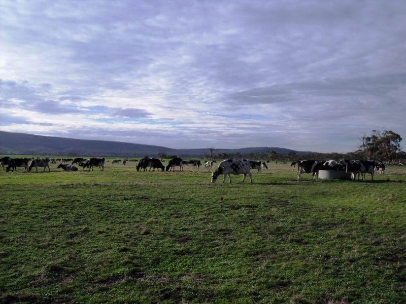 150 Todds Road, Hedley VIC 3967