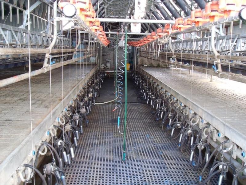 150 Todds Road, Hedley VIC 3967