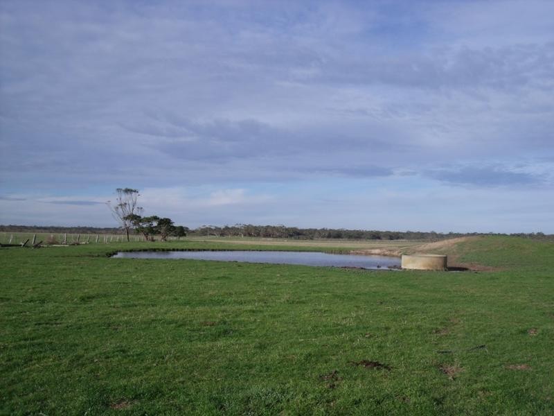 150 Todds Road, Hedley VIC 3967