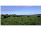 95 Tarwin Lower Waratah Road RD, Tarwin Lower VIC 3956